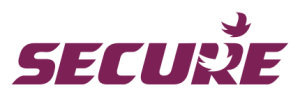 Secure Meters Recruitment Secure Meters Ltd Campus Placement 2022